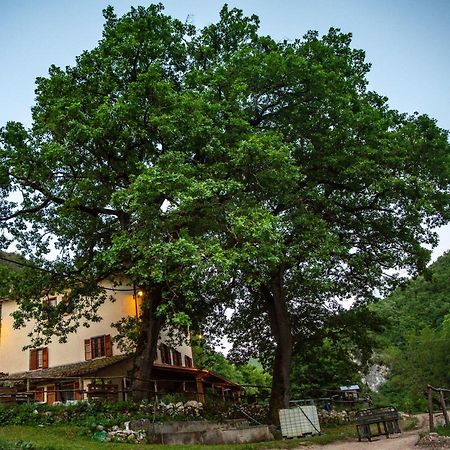 Agriturismo Le Due Querce Cerreto di Spoleto Екстер'єр фото